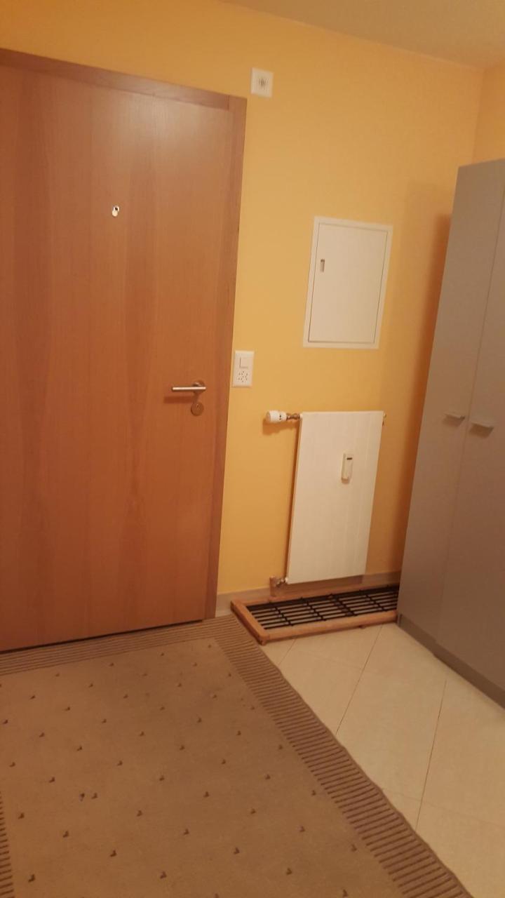 Apartment Viktoria ツェルマット エクステリア 写真